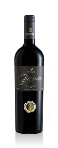 GIACOMO_800 GIACOMO_800