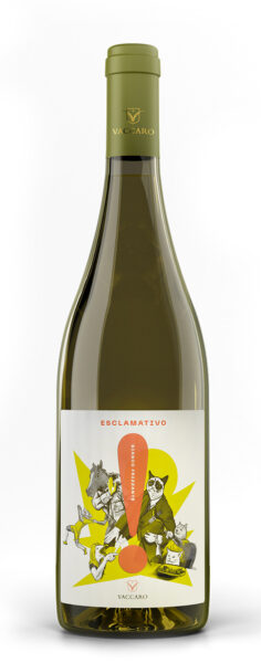 esclamativo_bianco esclamativo_bianco