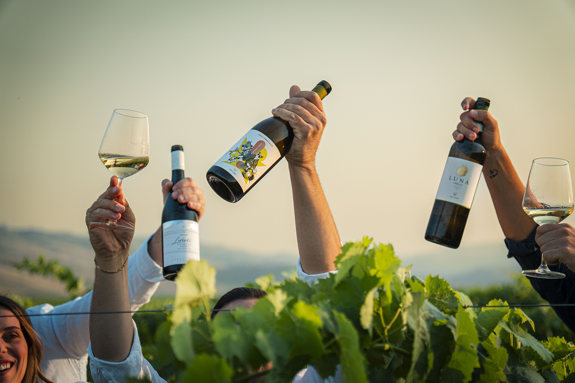 bottiglie_vaccaro_vigna