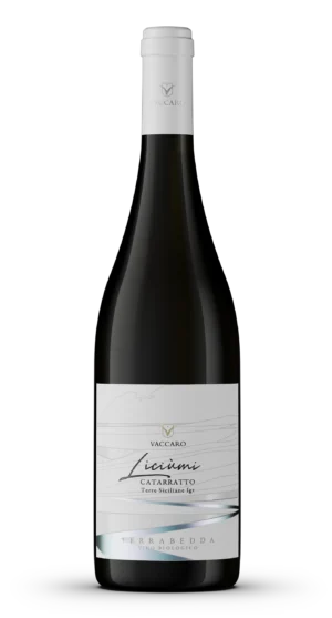 Liciumi – Catarratto