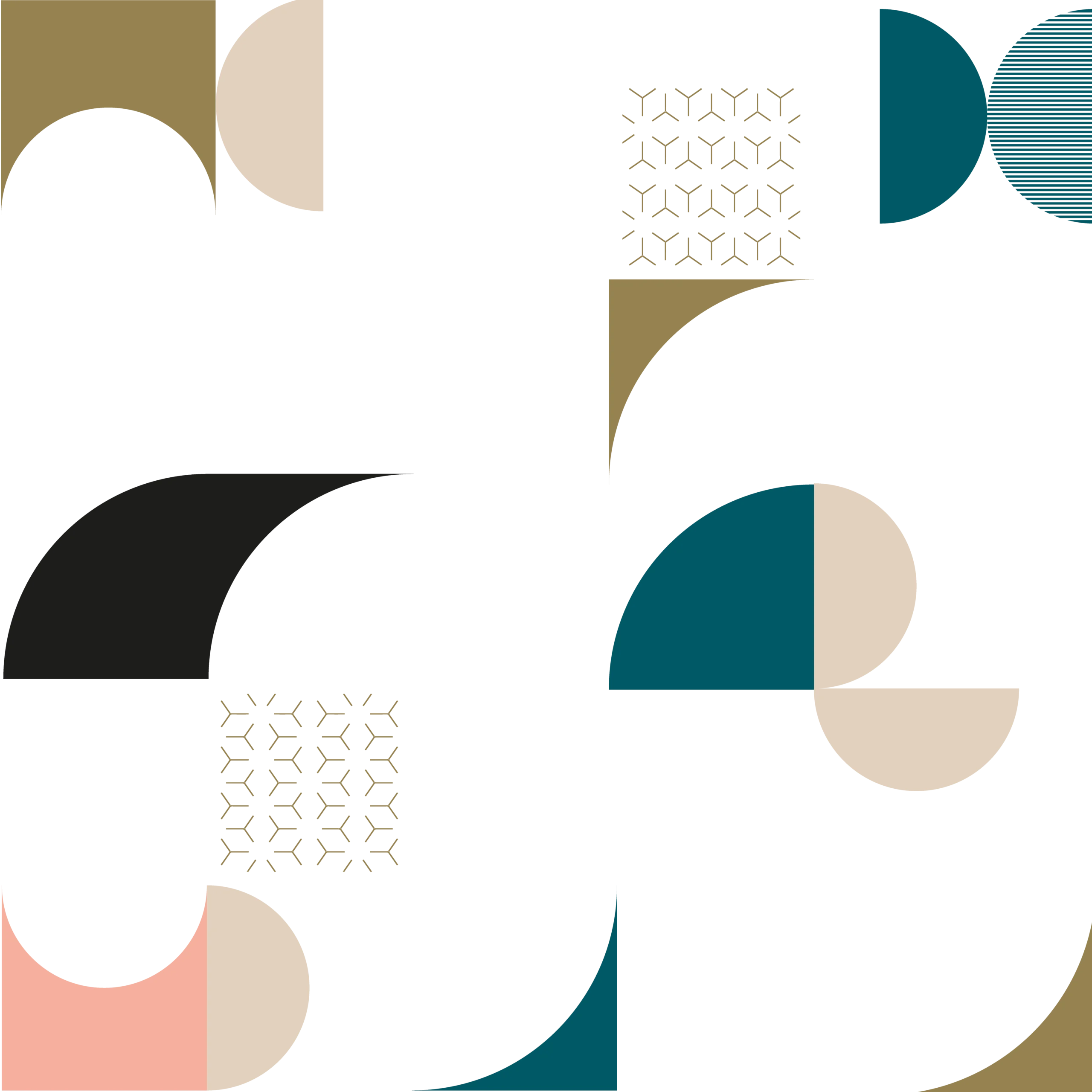 hero viniti vaccaro scaled